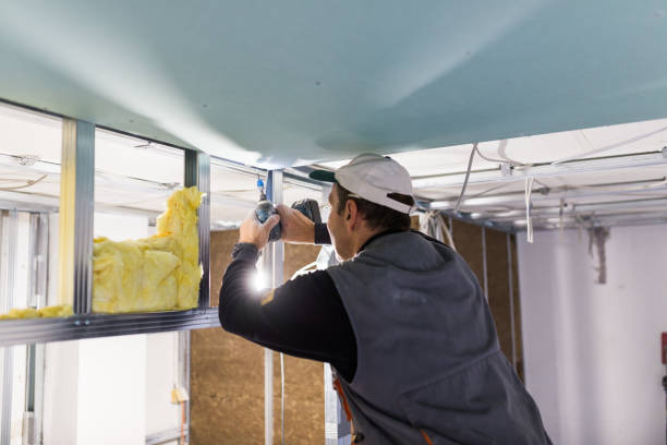 Best Insulation Contractors for Homes  in Polo, IL