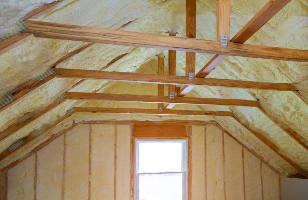 Best Energy-efficient Insulation  in Polo, IL