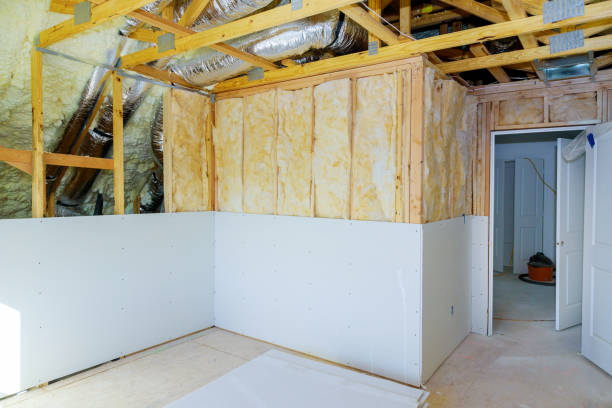 Best Soundproof Insulation Installation  in Polo, IL