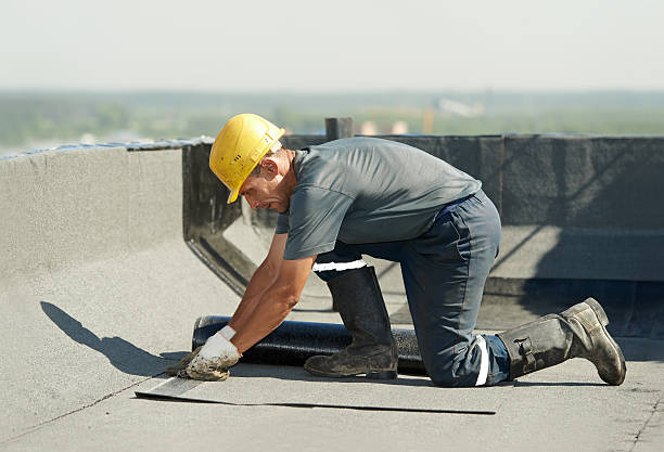 Best Attic Insulation Installation  in Polo, IL