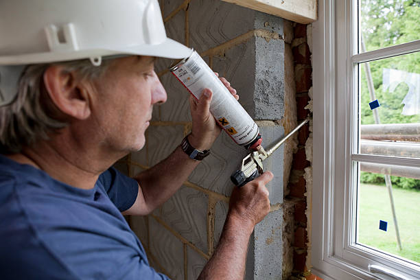 Best Spray Foam Insulation  in Polo, IL