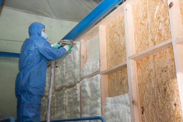 Best Insulation for New Construction  in Polo, IL