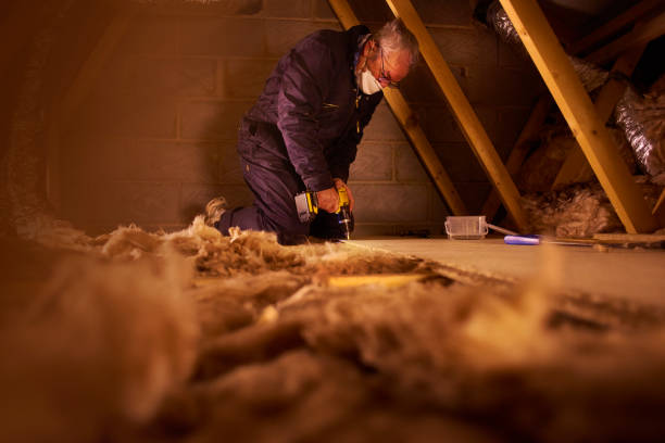 Best Crawl Space Insulation  in Polo, IL